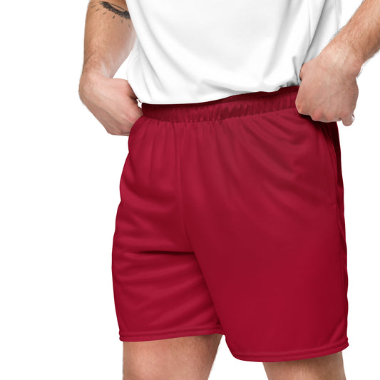 Herren Mesh-Shorts